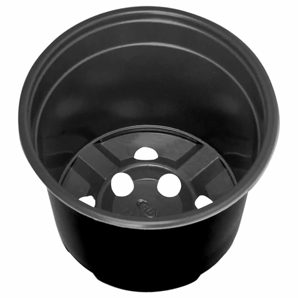 Fioriere | Cassetta per fiori | Vaso Rotondo per Fiori 50 pz Nero ? 10 x 8 cm Plastica