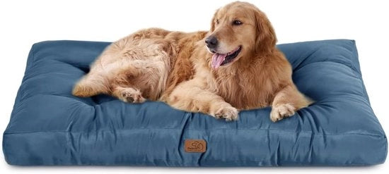 Matte Acquaplanante per Cani di Grande e Media Taglia