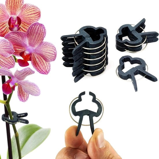 Clip per piante per tomate clip per viti da vino per rose aiuto per piante da parete per vasi per piante fissaggio facile riutilizzabile - Set da 60