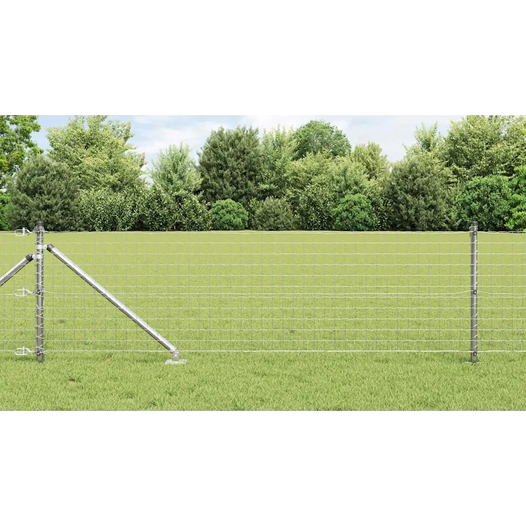 Recinzione con Posto Argento 0,8 x 10 m Acciaio