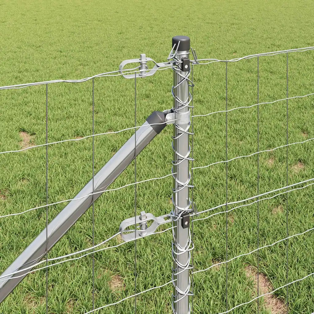 Recinzione con Posto Argento 1 x 10 m Acciaio