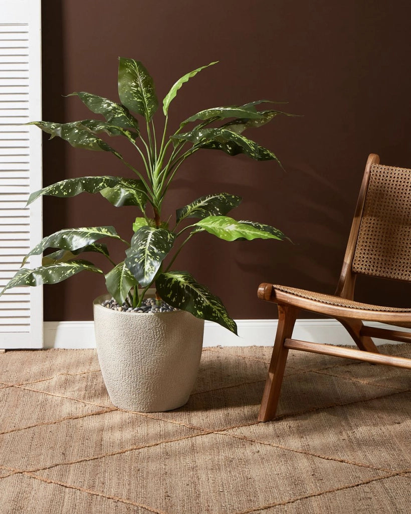 Vaso da fiori in argilla bianco sporco 36 x 36 x 32 cm per interni ed esterni resistente alle intemperie
