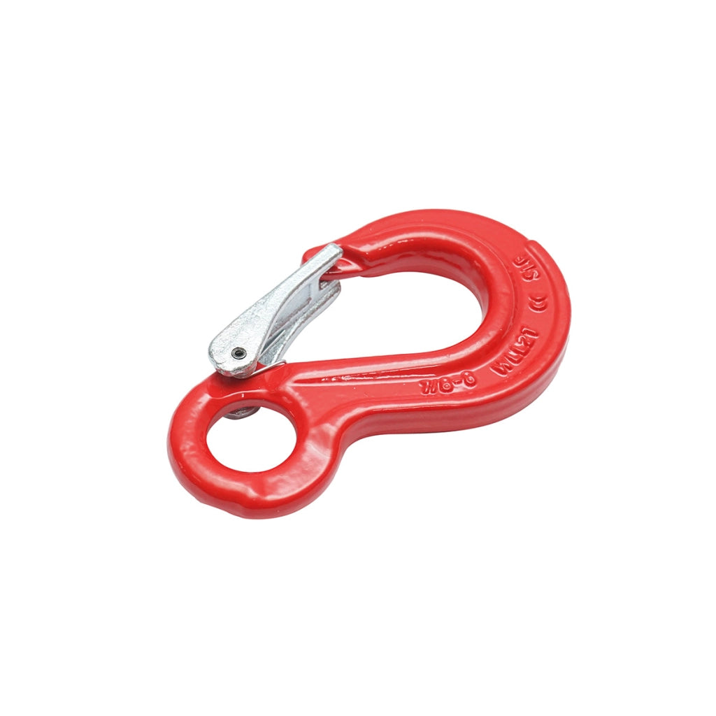Gancio con anello di sicurezza, carico massimo 2 T