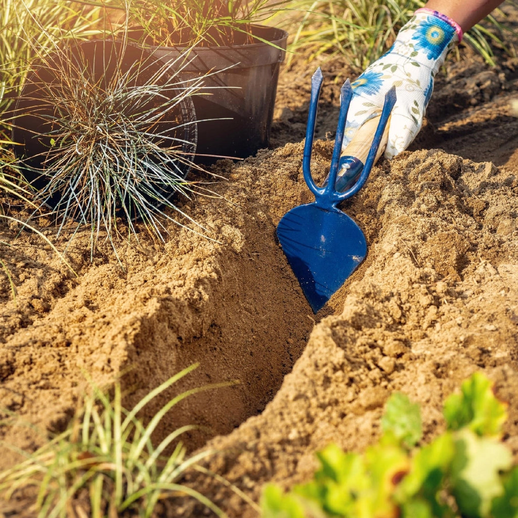 Zappa da giardino KADAX per estirpare le erbacce con forca 7 cm Piccola 32 cm