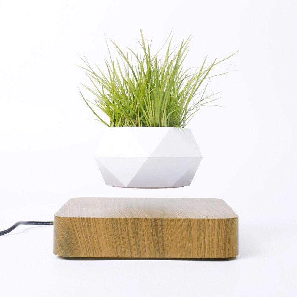 Vaso per piante bonsai a levitazione magnetica che vola piantina sospesa in aria