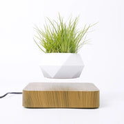 Vaso per piante bonsai a levitazione magnetica che vola piantina sospesa in aria