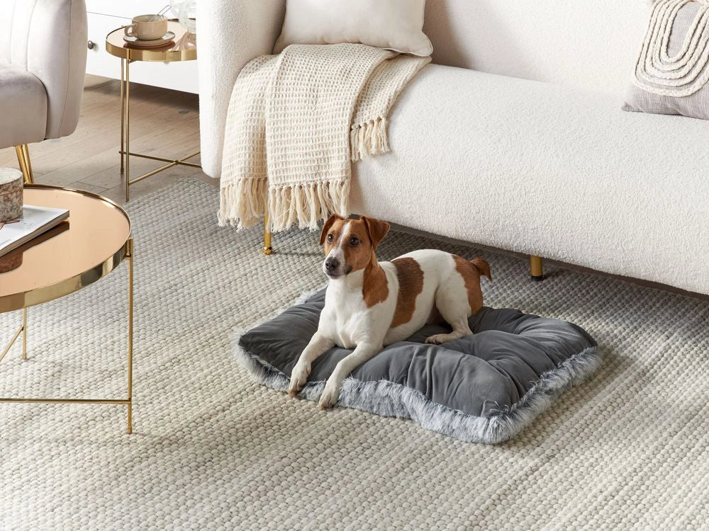 Cuccia animali letto per cani lettino gatti velluto grigio con nappe 60 x 45 cm