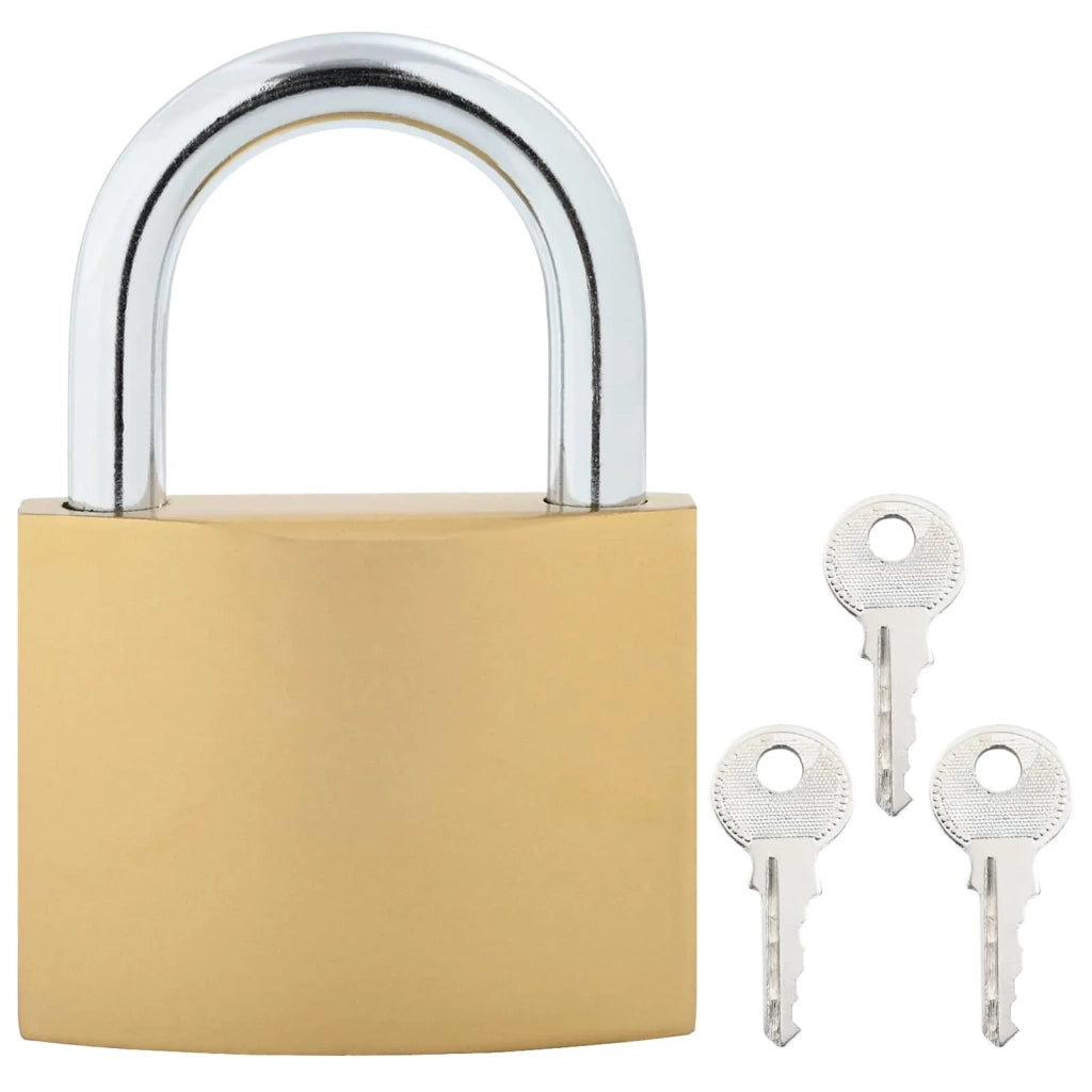 U Lock con Chiavi 2 pz Ottone Ferro CFW9189121