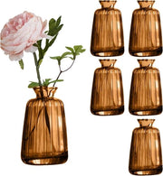Set di 6 Vasi in Vetro per Decorazione di Tavola - Set di Vasi Mini per Decorazione di Tavola di Matrimonio - Set di Vasi per Fiori (11 × 6,5 cm Miele)
