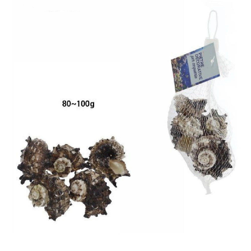 Trade Shop - Sacchetto Di Conchiglie Mare Da 80-100gr Decorazione Arredo Per Acquario 70288 -