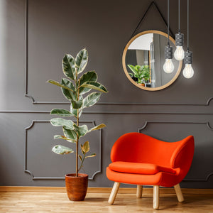 Lampada Da Soffitto Pensile Montatura Nero Chrome APP342-1CP