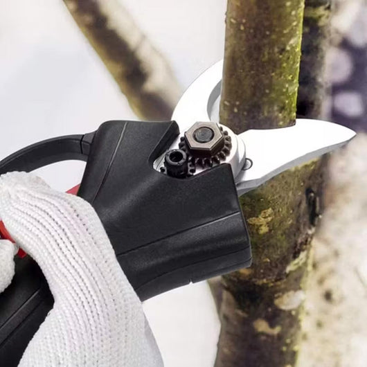 Forbici da Potatura Elettrica Cesoia Portatile con Doppia Batteria