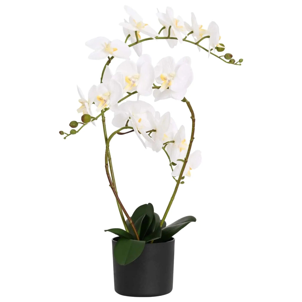 Pianta di Orchidea Artificiale con Vaso Bianco 45 x 15 x 65 cm CFW3342445