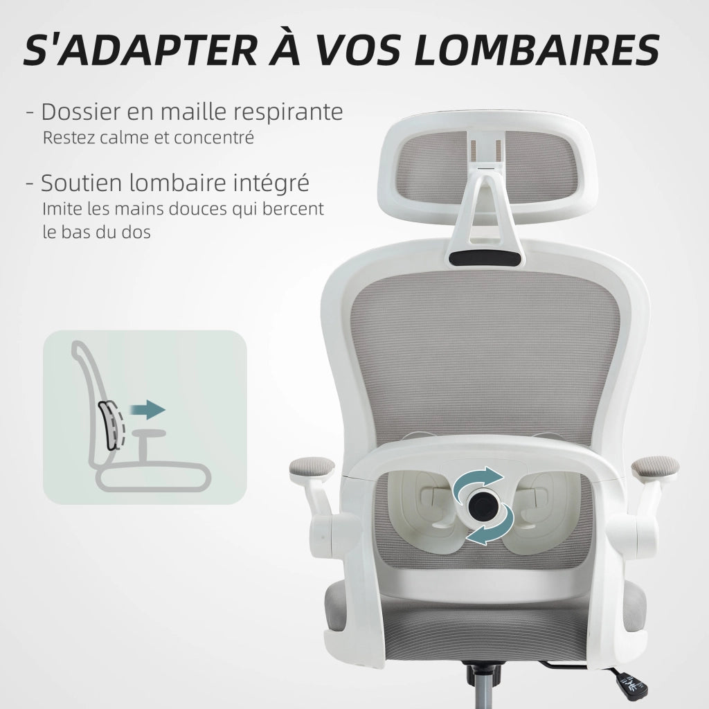 Sedia da ufficio ergonomica ¨C Zephmum ¨C Grigia, rete a doghe, 64x62x115 cm