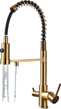 Bernd | Filtro oro opaco  3 vie gastronomia Rubinetto cucina amolla in acciaio inossidabile osmosi|Miscelatore da ristorante ruotabile 360°