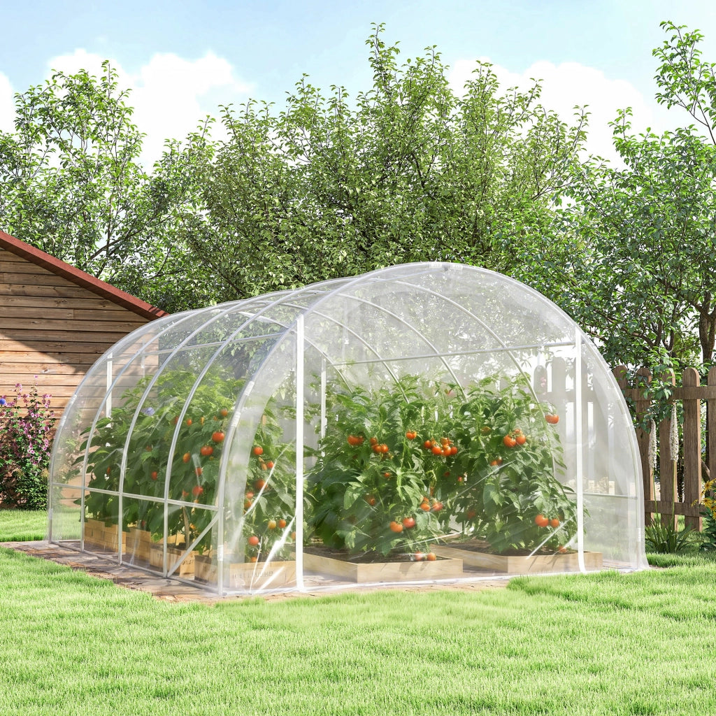 Serra a Tunnel 3x4x2 m con Porte Avvolgibili Telaio in Acciaio e Copertura in PE Anti-UV Trasparente