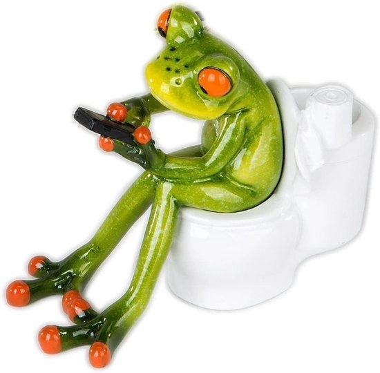 Cadeau per fioraia o per ufficio: kikker seduto sul water in ceramica verde