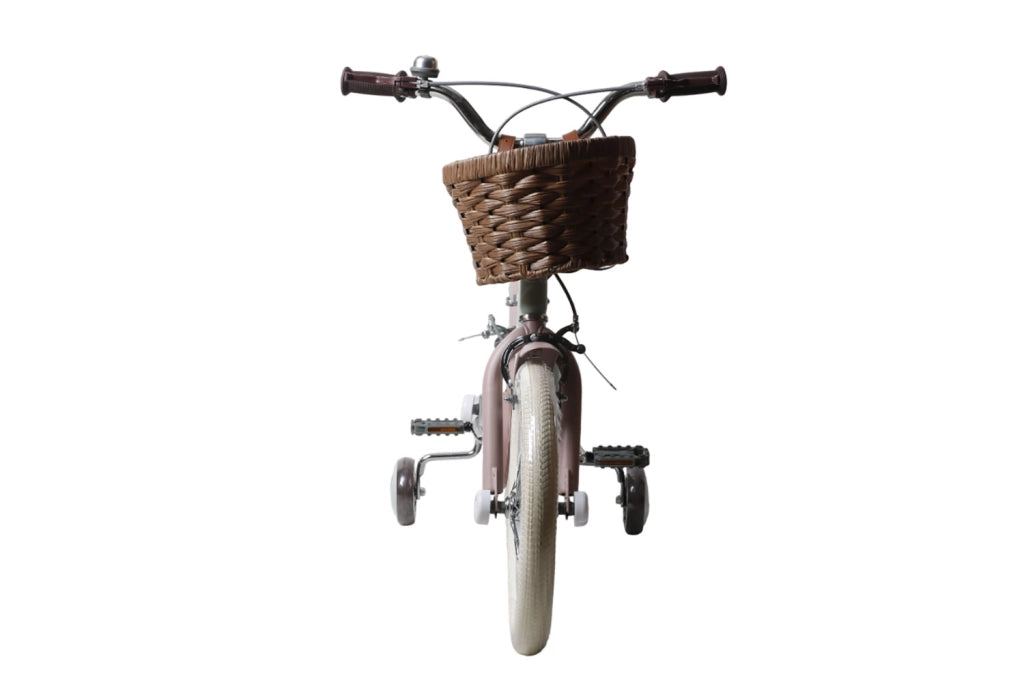 Bicicletta per Bambine Antonella 16 Pollici con Stabilizzatori e Cestino Verde e Rosa Verde e Rosa