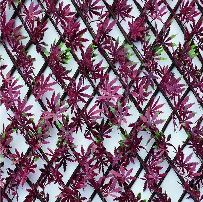 SIEPE ARTIFICIALE DA GIARDINO TRALICCIO ESTENSIBILE FOGLIE ACERO ROSSO 1X2 MT VK