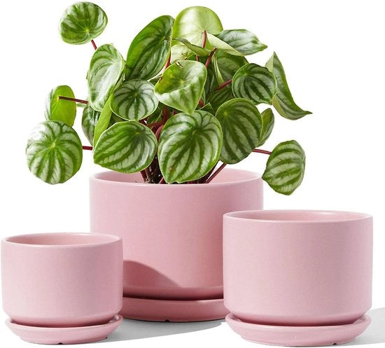 Set di 3 Piante in Ceramica 11+13+17cm di Diametro Piccola Ciotola per Piante da Interno con Saucer e Foro di Drenaggio Rosa
