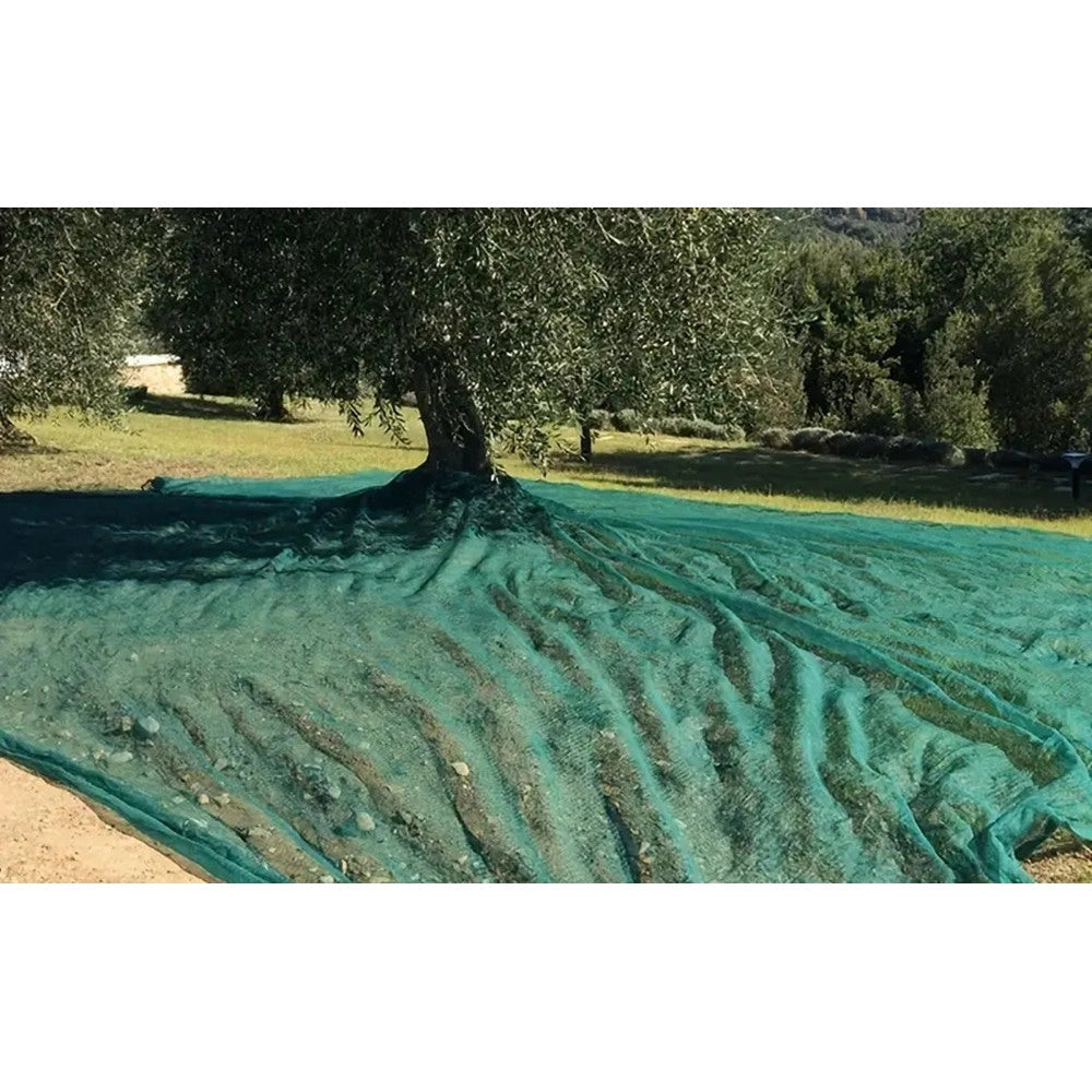 Trade Shop - Set 3pz Rete Per Raccolta Olive Frutta Piantagioni Resistente Durevole 3x10mt Verde 222271 -