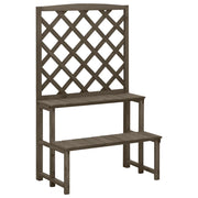 Supporto per piante e traliccio 70 x 42 x 115 cm in legno di abete grigio 02_0045025