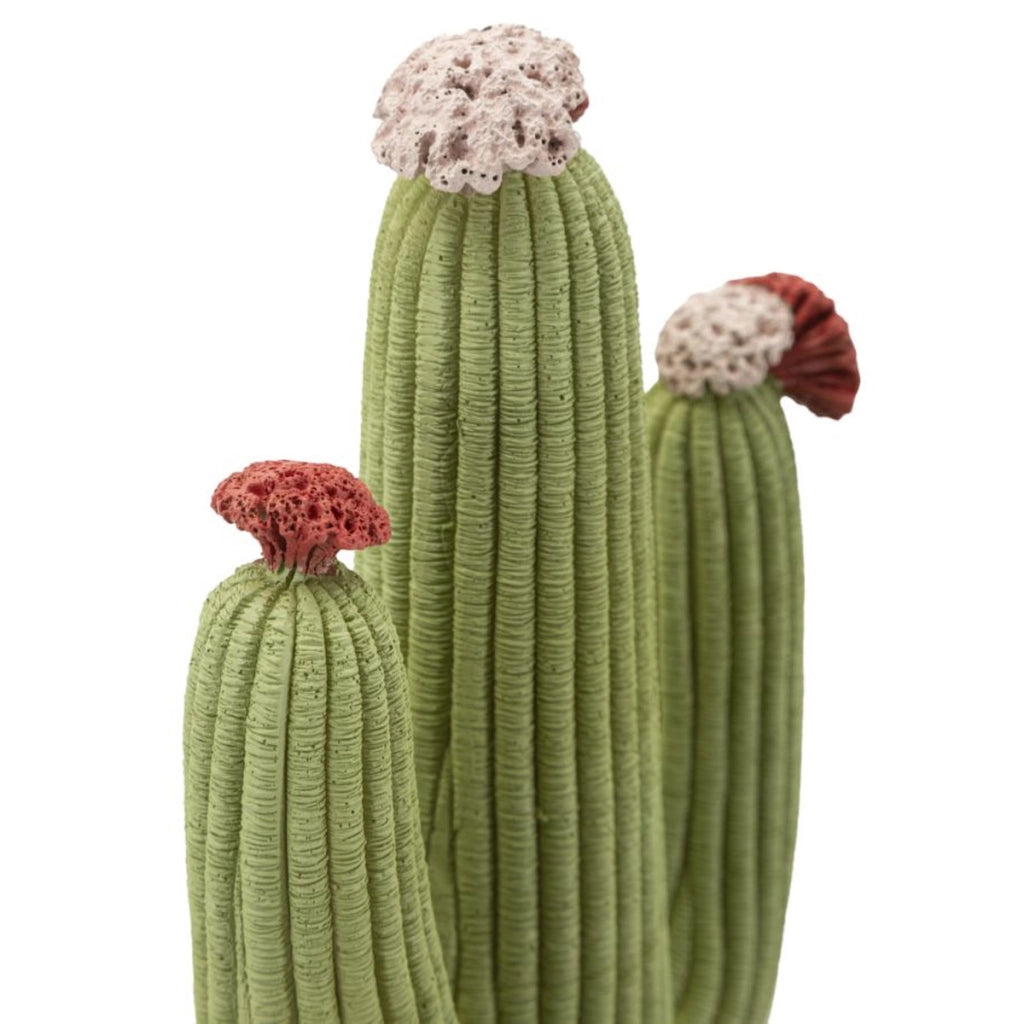 Scultura Cactus, Multicolore, Poliresina, 16,5x11x45 cm