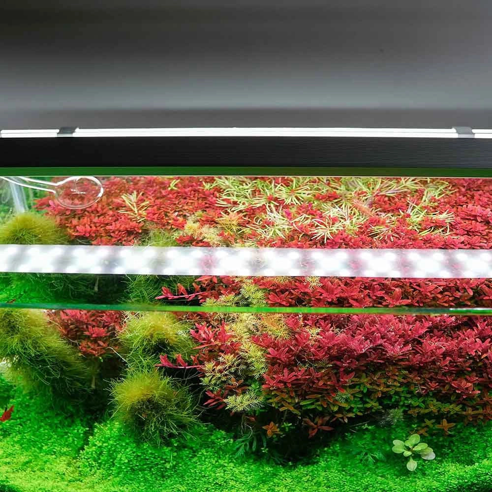 Chihiros B30 - plafoniera LED con controller Bluetooth per acquari d' acqua dolce