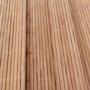 Set di 2 Piatte per Tavola da Cenare in Bambù Resistenti al Calore e Impronte