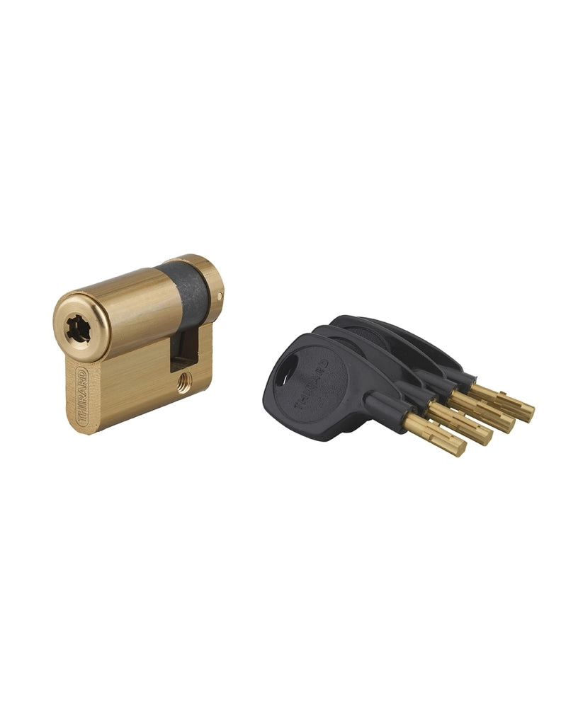 Semicilindro SURVEYOR 31 x 10 mm 4 chiavi – THIRARD