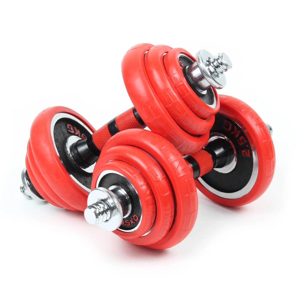 LUXTRI Set manubri da 20 kg Manubri corti e lunghi 2in1, 12 dischi ed estensione per manubrio lungo