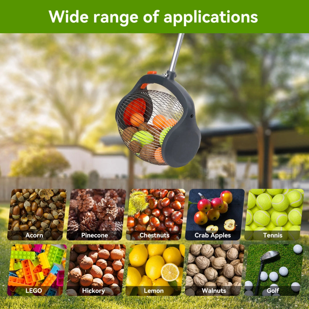 Bawang - Rullo Raccoglifrutta da 2 a 4 cm con Asta Telescopica in Acciaio per Frutta Nocciole Castagne e Oggetti