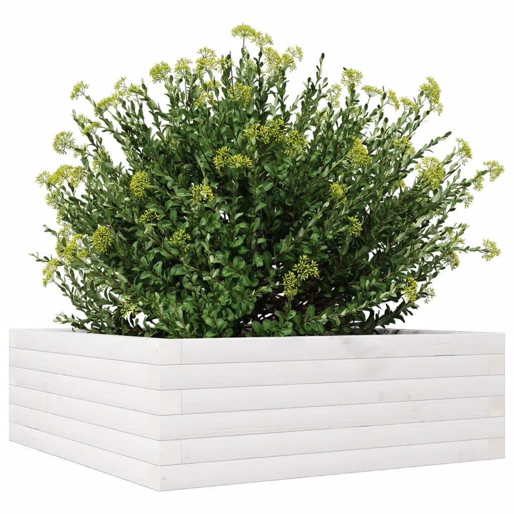 Fioriera da Giardino Bianca 70x70x23 cm Legno Massello di Pino 847194