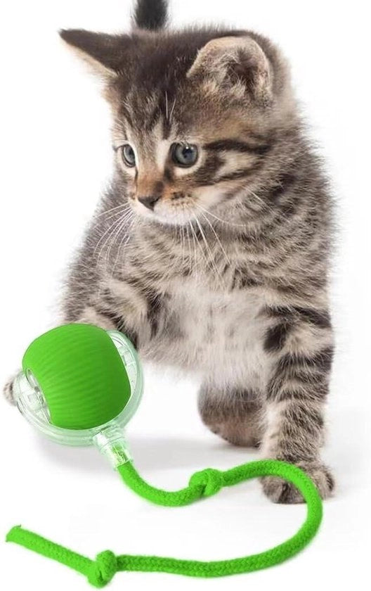 Giocattolo Elettrico per Gatti Interattivo con 3 Modalità Movimento Irregolare Adatto per Gatti Adulti da Collocare in Tutte le Stanze e su Tutti i Tipi di Pavimenti e Tappeti