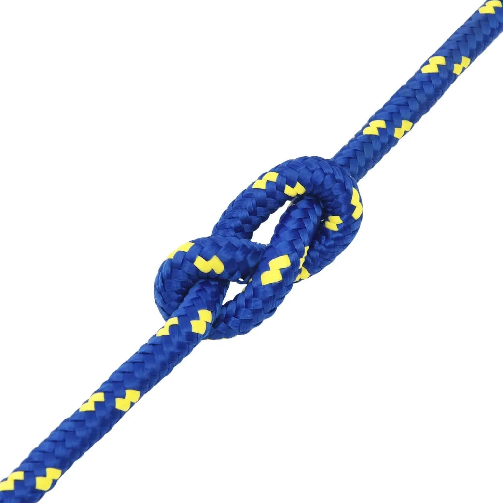 Corda per barca Blu 14 mm 100 m in Polipropilene 152464