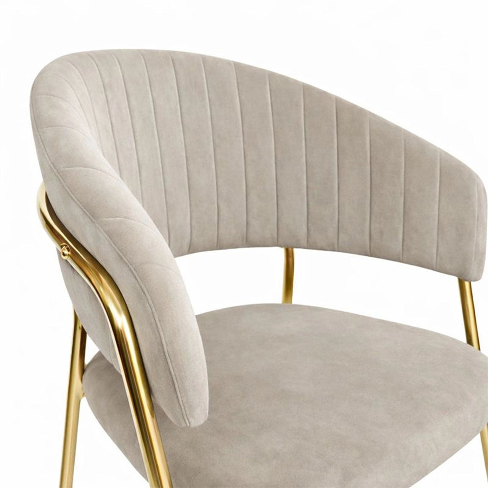 Sedie da sala da pranzo set da 4 Aurelia con schienale in velluto grigio tortora