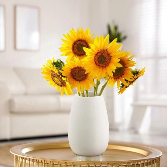 Vasca Ceramica Bianca, Vaso Ceramico Decorativo Moderno, Vaso Ronde Opaca per Pampas, Tazza per Tavolo Stile Rurale Tavola Boho Decorazione, Vasca 17cm Alto per Ufficio, Salotto, Camera da Letto, Decorazione per Tavolo