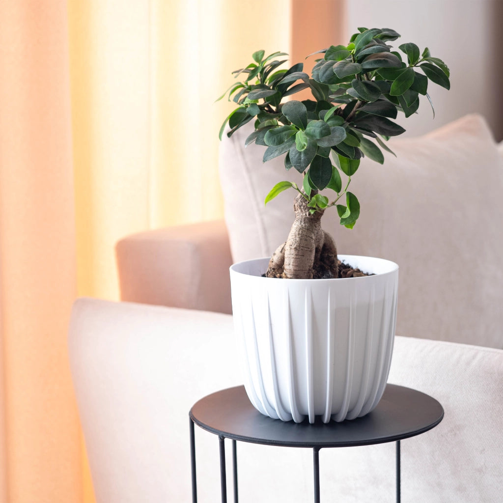 KADAX Vaso da fiori, coprivaso rotondo da 17,5 cm in plastica, supporto per fiori bianco