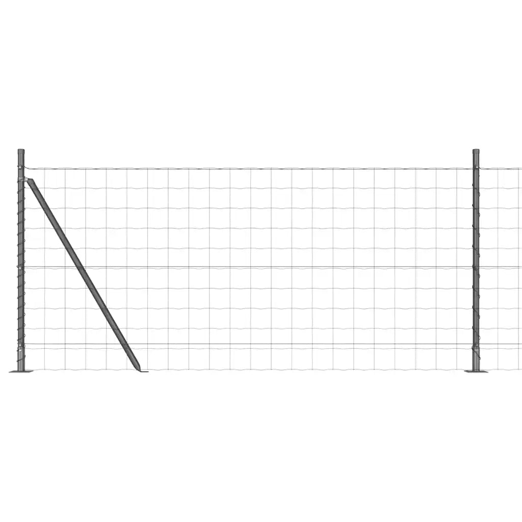 Recinzione con Posto Grigio 0,8 x 25 m Acciaio