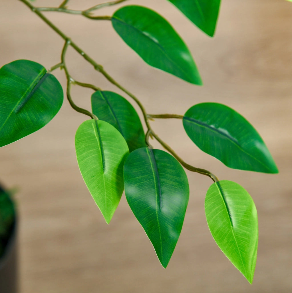 Ficus artificiale 135 cm in plastica verde in vaso nero senza montaggio per interno esterno