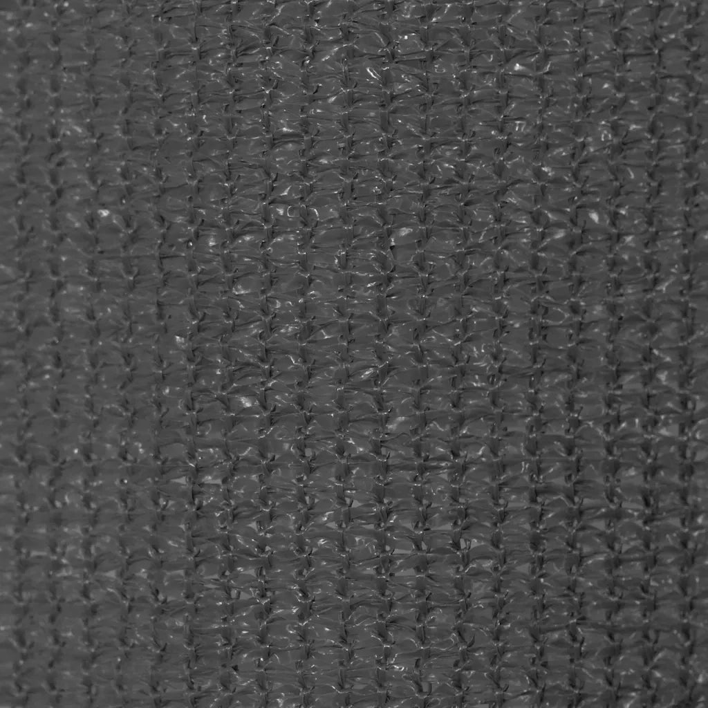 Tenda a Rullo per Esterni 220x230 cm Antracite cod mxl 68286