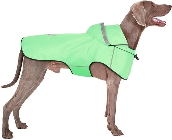 Giubbotto Acquapazza per Cani di Grande Taglia - Cappuccio Riflettente Regolabile, Leggero e Comodo - Lunghezza Asciutta e Sicura (XL Mint)