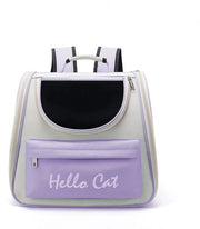 Capsula per gatti e cani portatile pieghevole in forma di animale, idonea per piccoli e medi animali domestici, cinture trasparenti, respiranti e termoresistenti, adatta per viaggi, passeggiate e campeggi - Blu