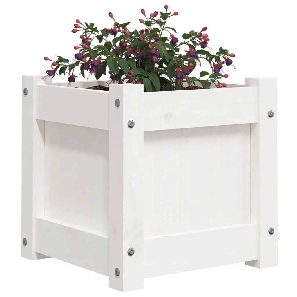 Fioriera da Giardino Bianca 31x31x31 cm Legno Massello di Pino 837396