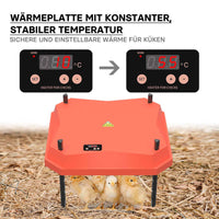 Fudajo Chioccia artificiale 35x35cm 50W Piastra termica per 50-30 pulcini, temperatura regolabile