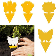 Stickers per la protezione dalle mosche - 30 pezzi trappola per mosche - Trappola per mosche - Trappola per insetti per piante da interni - Lotta contro gli insetti per la protezione delle piante