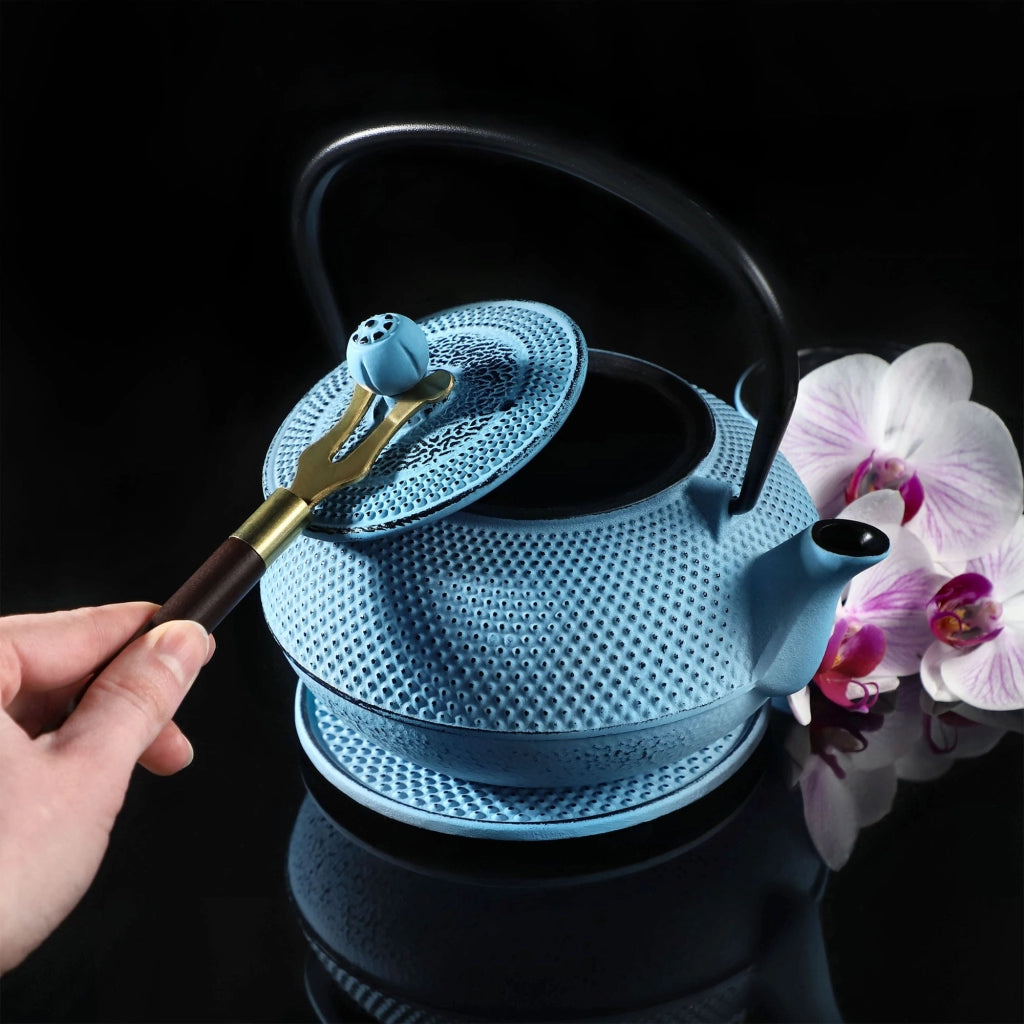 Teiera in ghisa KADAX con infusore per tisane, 850 ml, colore blu.