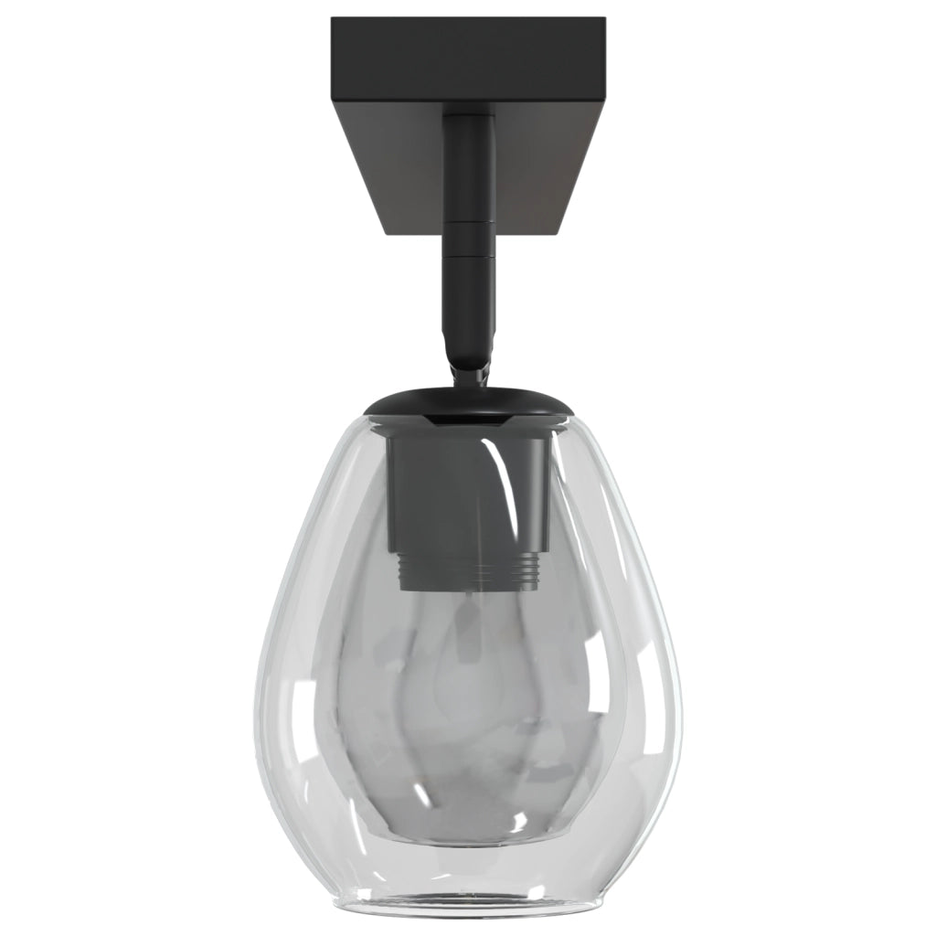 Lampade da soffitto con paralume in vetro regolabile anthracite E27