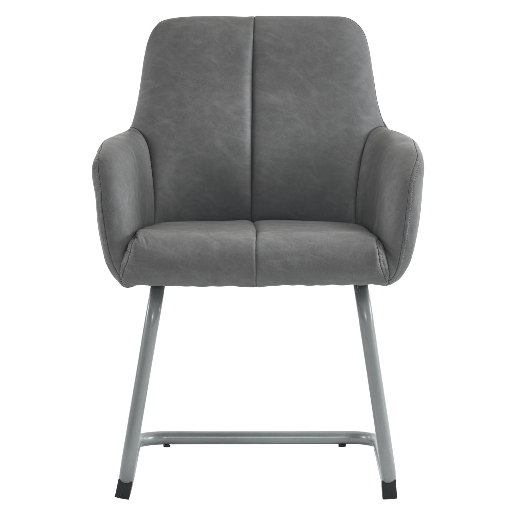 Sedia da pranzo set da 2 con braccioli, schienale ergonomico, pelle in microfibra, Grigio
