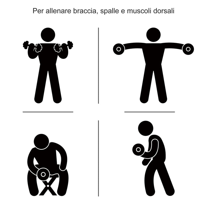 Set 2 Manubri 12 Dischi 20Kg in Acciaio e Plastica Nero